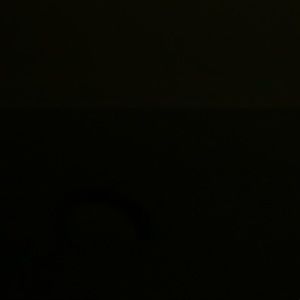 Meet your Posher, Chana